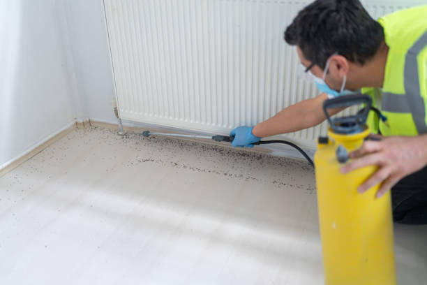 Best Pest Prevention Services  in Hoyt Lakes, MN