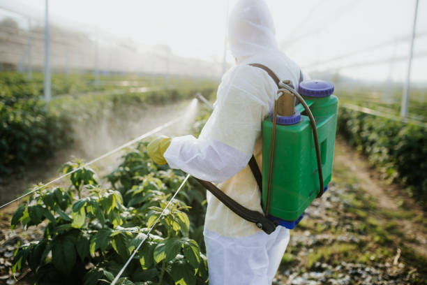 Best Mosquito Control Services  in Hoyt Lakes, MN